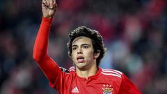 Joao Felix scored 20 goals for Benfica last season