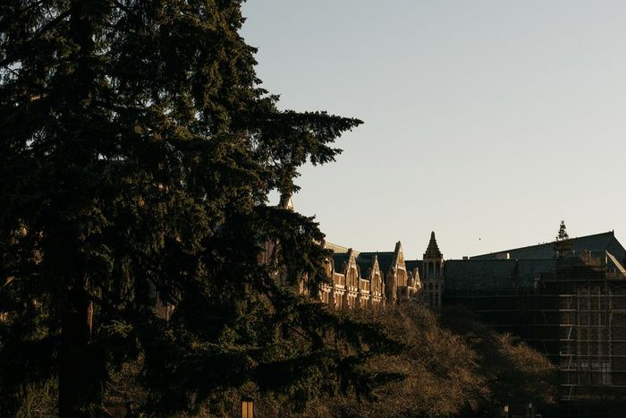 Student Debt Facts: The Average College Senior Owes $29,000