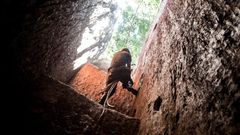 A subsistence miner in Mabakulu, eastern DR Congo, clambers out of a mine shaft with the help of a vine. Safety in Congo's illegal mining sector is poor, and accidents are frequent (file picture)