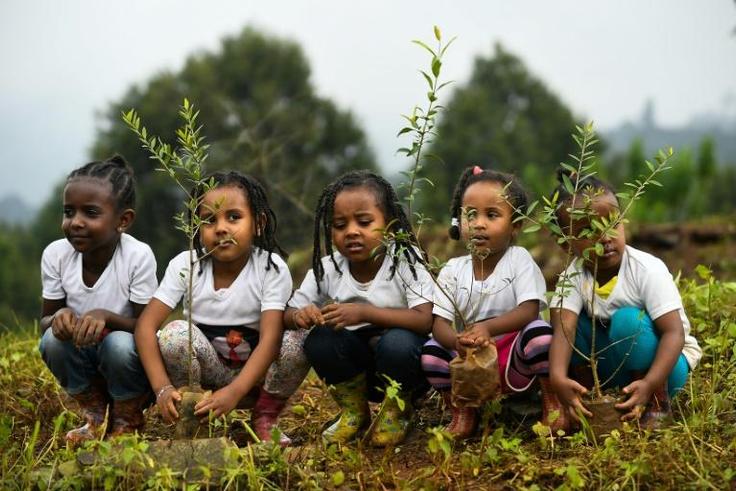 The government said a "record-breaking" 350 million trees were planted in a single day on Monday