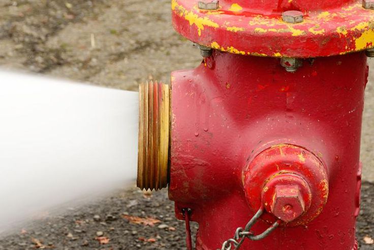 Dr. Pimple Popper Reveals Her Biggest Cyst Pops