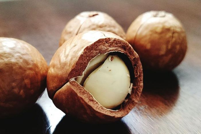 Dr. Pimple Popper Extracts 'Nut' Cyst Whole