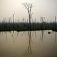 A burnt area of the Amazon rainforest is pictured near Abuna, Rondonia state, Brazil, on August 24, 2019