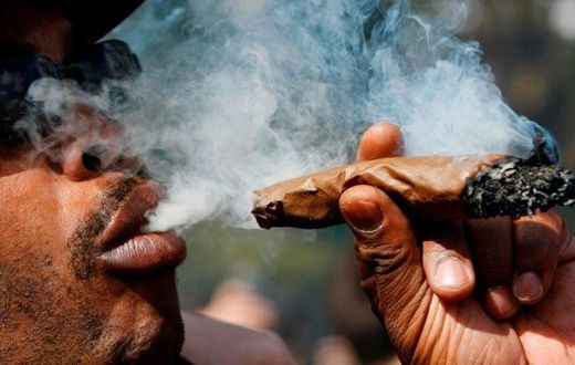 83 people arrested at a bhang competition (Courtesy)