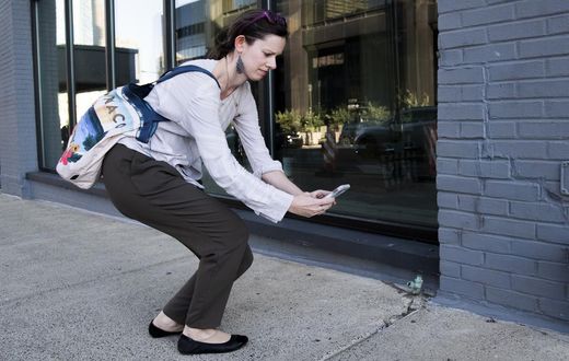 'Squash It! Smash It!': Pennsylvania Implores Residents to Kill an Invasive Bug on Sight