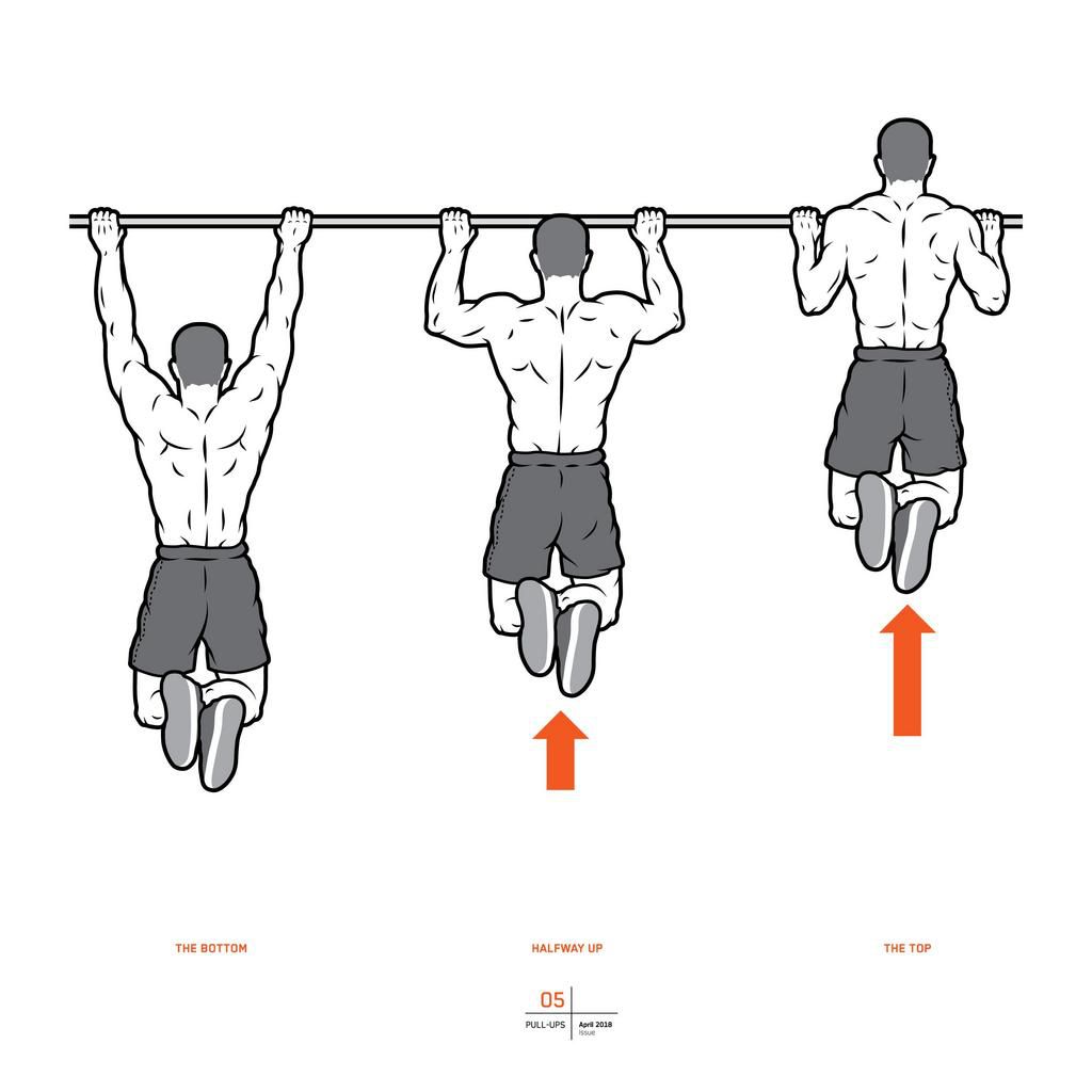 Everything You Need To Know About Pullups
