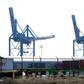 Authorities announced one of the largest drug busts in US history at the port of Philadelphia, pictured in 2016