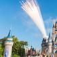 Mom Wants To Ban Childless People From Disney