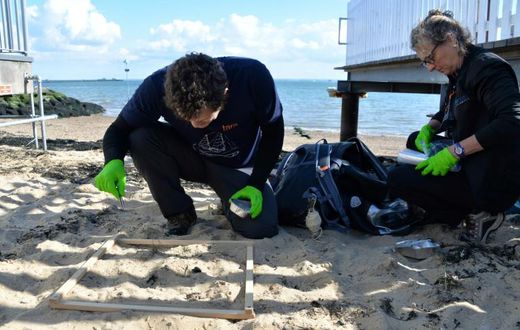 WHO says more research is needed to obtain a more accurate assessment of exposure to microplastics and their potential impacts on human health