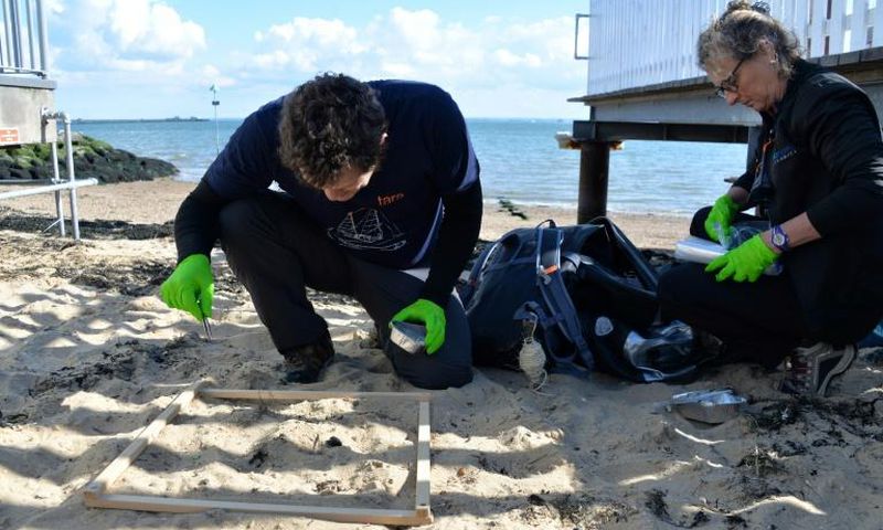 WHO says more research is needed to obtain a more accurate assessment of exposure to microplastics and their potential impacts on human health