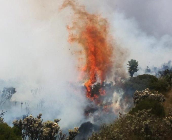 Fire rages in the Aberdare Forest
