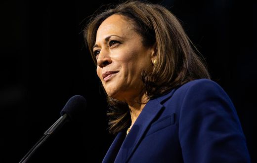 'Trust Me': Kamala Harris Makes Big Play on Criminal Justice Reform