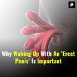 Why Waking Up With An Erect Penis Is Important