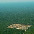 Almost 20 percent of the Amazon forest, pictured in 2017, has disappeared in the last half-century, according to the WWF