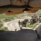 Insider attacks are a constant threat in Afghanistan for international and Afghan forces alike