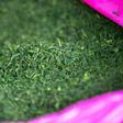 Ethiopia's state-run Substance Rehabilitation Centre tackles khat usage, in a country where chewing the leafy stimulant is commonplace