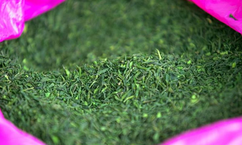 Ethiopia's state-run Substance Rehabilitation Centre tackles khat usage, in a country where chewing the leafy stimulant is commonplace