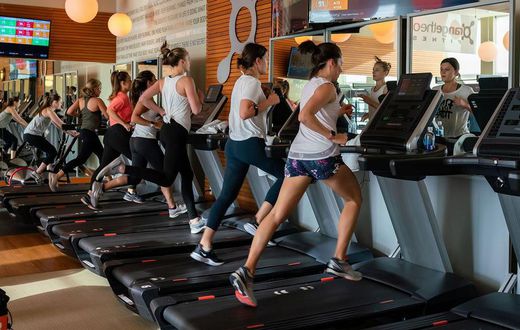 Everything You Need To Know About Orangetheory