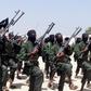 Al Shabaab
