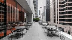 Braving MoMA: What to Know Before You Enter