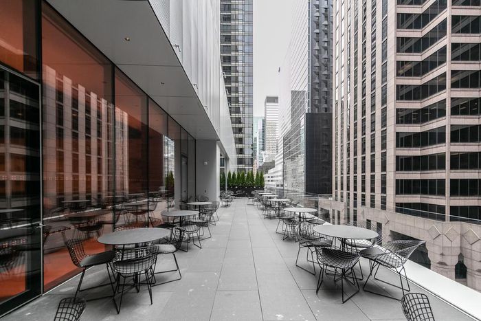 Braving MoMA: What to Know Before You Enter