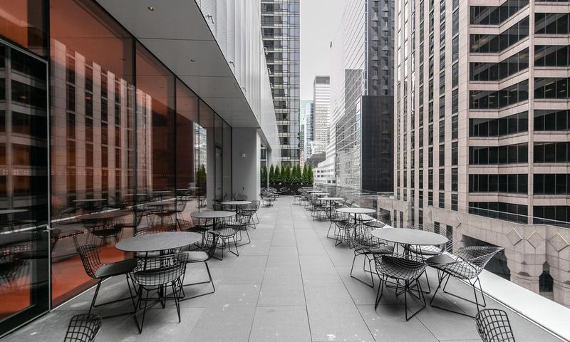 Braving MoMA: What to Know Before You Enter