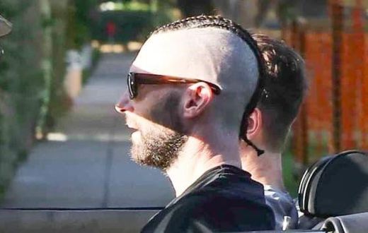 Adam Levine's New Cornrows Are Certainly a Choice