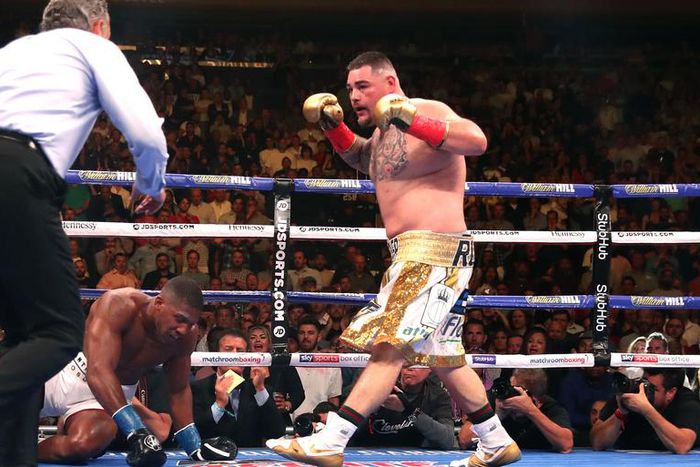 Why We're Talking About Fat Boxer Andy Ruiz, Jr.