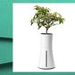 This Self-Watering Planter Gives You A Green Thumb
