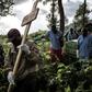 An Ebola victim is buried in Butembo, eastern DR Congo. More than 2,100 people have died in the 14-month-old epidemic
