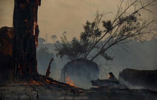 Deforestation in the Amazon has been blamed for the sharp increase in fires as land is cleared and burned for cattle grazing or crops