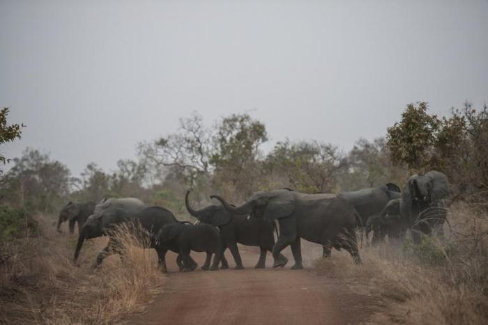 The decision met with strong opposition from Zimbabwe in particular, which tried in vain to block the vote