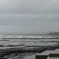 Parts of Mumbai received around 350 millimetres (13 inches) of rain overnight
