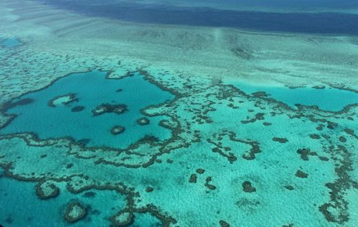 The Great Barrier Reef faces multiple threats to its survival