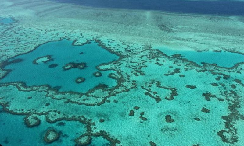 The Great Barrier Reef faces multiple threats to its survival