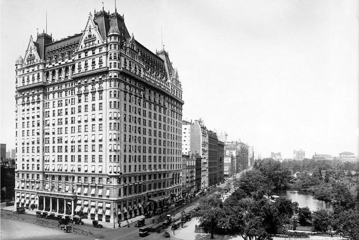 The widows of the Plaza Hotel
