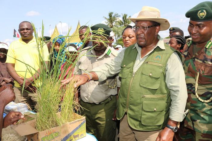 Environment CS Keriako Tobiko during a past tree-planting exercise.