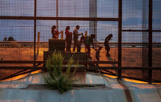Top Immigration Judge Departs Amid Broader Discontent Over Trump Policies