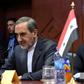 Ali Akbar Velayati, chief foreign policy advisor to Iran's supreme leader (pictured November 2017), said uranium enrichment "will increase as much as needed for our peaceful activities"