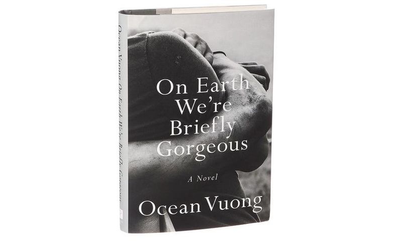 'On Earth We're Briefly Gorgeous' captures a young immigrant's troubles and ecstasies