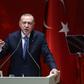 Rights groups have regularly criticised the erosion of free speech in Turkey under President Recep Tayyip Erdogan, pictured