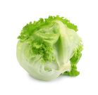 12 Best Types Of Greens And Lettuce To Add To Your Salad
