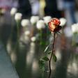People leave flowers during the September 11 Commemoration Ceremony at the 9/11 Memorial at the World Trade Center on September 11, 2019,in New York.