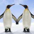 The Truth About Whether Soulmates Actually Exist
