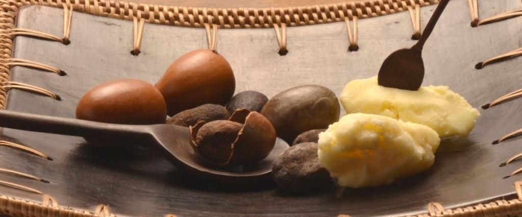 Shea butter  (Credit - organicbrands.gr )