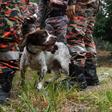 Rescuers are using sniffer dogs to try to find the missing teen in Malaysia