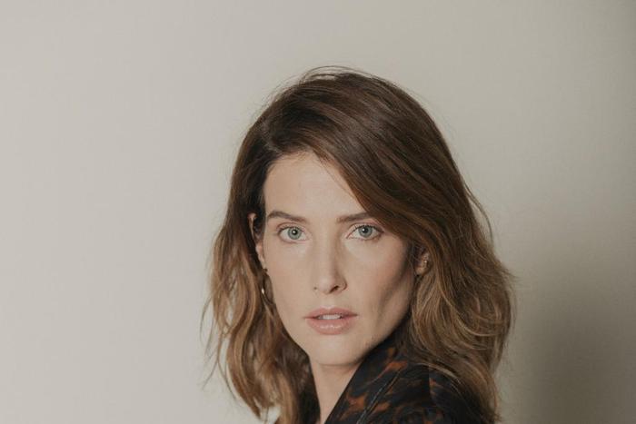 How Cobie Smulders Met Her New Role