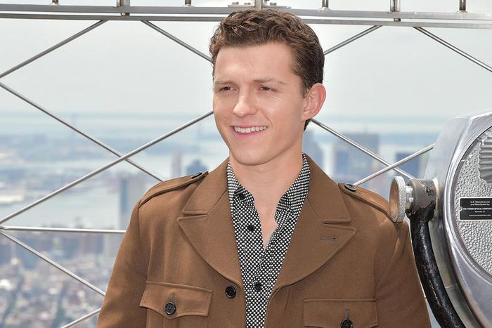 Tom Holland, Not Actually Spider-Man, Saved a Fan