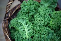 The 20 Healthiest Fall Fruits And Veggies You Should Def Eat This Year