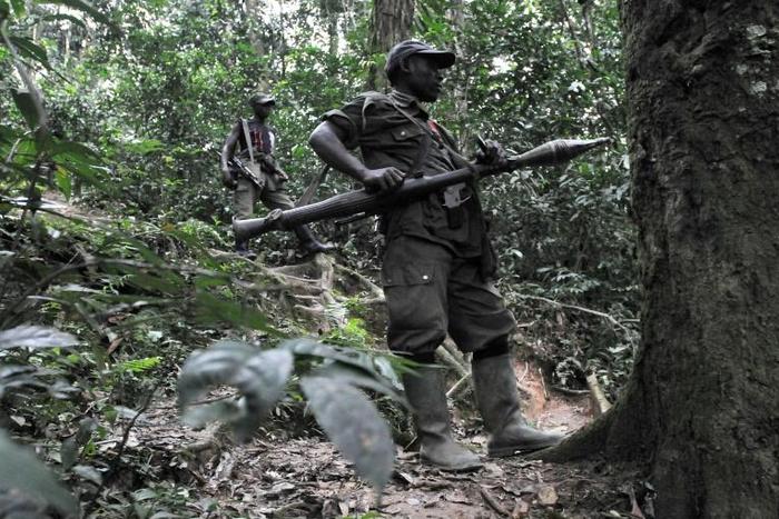 FDLR fighters are scattered across the eastern DR Congo provinces of North and South Kivu as well as in southern Katanga, and is regularly accused of committing atrocities against civilians in the zones it controls